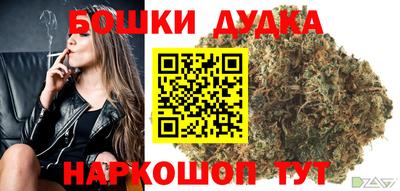 apvp Партизанск