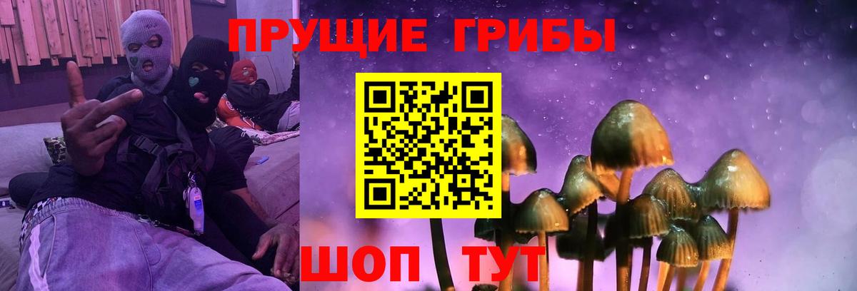 Галлюциногенные грибы мицелий Сыктывкар